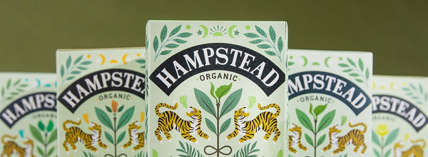 Organic Green Tea - Hampstead Tea