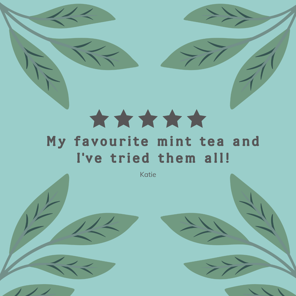 Organic & Biodynamic Peppermint & Spearmint 250 Tea Bags - Hampstead Tea