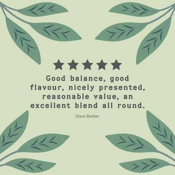 Organic Green Loose Leaf Tea 1 KG Pack - Hampstead Tea