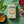 Load image into Gallery viewer, Organic Green Tea with Raspberry Tea Bags - Hampstead Tea