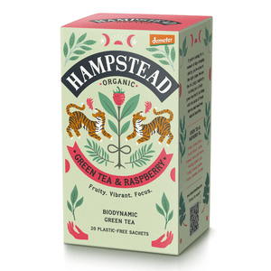 Organic Green Tea with Raspberry Tea Bags - Hampstead Tea