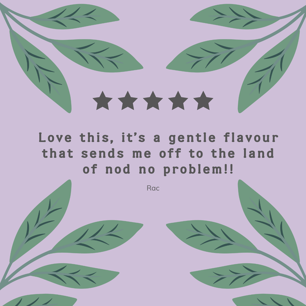 Organic Lavender & Valerian Tea Bags - Hampstead Tea