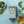 Load image into Gallery viewer, Organic Peppermint & Spearmint Tea Bags - Hampstead Tea