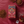 Load image into Gallery viewer, Organic Rooibos Tea Bags - Hampstead Tea - organic & plastic free tea