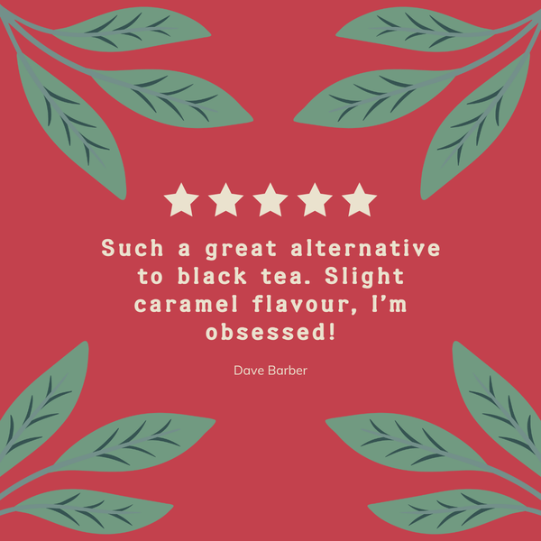 Organic Rooibos Tea Bags - Hampstead Tea - organic & plastic free tea