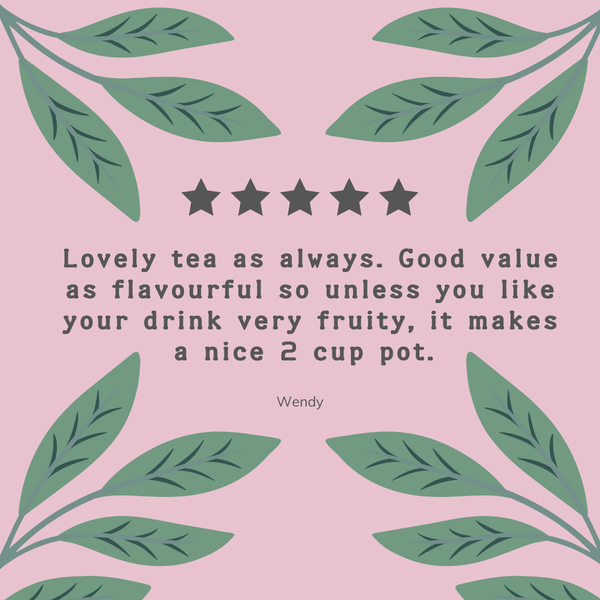 Organic Rosehip & Hibiscus Tea Bags - Hampstead Tea
