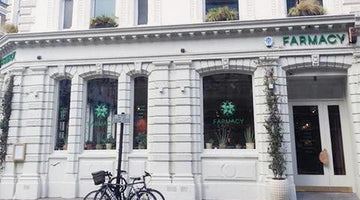 Hampstead Teas Top 4 Organic Things To Do in LONDON - Hampstead Tea