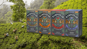 Organic Black Tea – your guide to the best - Hampstead Tea