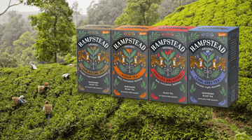 Organic Black Tea – your guide to the best - Hampstead Tea