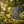 Load image into Gallery viewer, Biodynamic Earl Grey Tea Bags - Hampstead Tea
