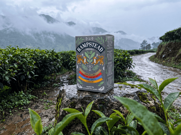 Black Tea Selection Tea Bags - Hampstead Tea