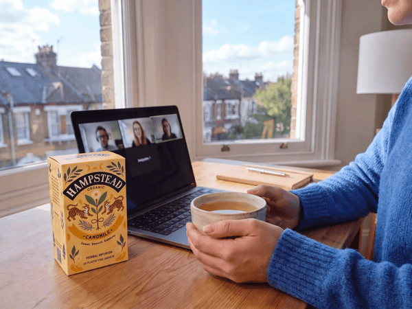 Camomile 250 Tea Bags - Hampstead Tea