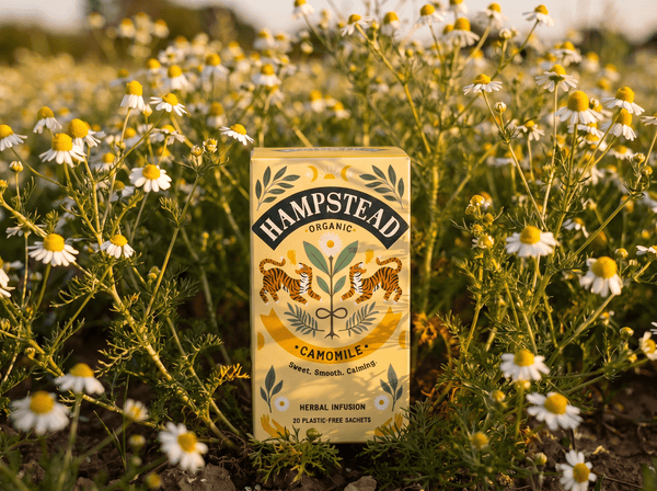 Camomile 250 Tea Bags - Hampstead Tea