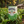 Load image into Gallery viewer, Cleanse Well Tea bags - Hampstead Tea

