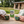 Load image into Gallery viewer, Cleanse Well Tea bags - Hampstead Tea

