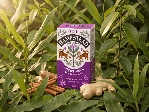 Focus Well Tea Bags - Hampstead Tea