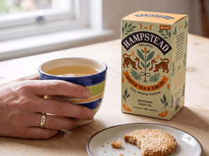Green Tea & Ginger Tea Bags - Hampstead Tea