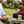 Load image into Gallery viewer, Green Tea &amp; Lemon - Hampstead Tea
