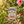 Load image into Gallery viewer, Herbal Harmonies Infusions Selection Pack Tea Bags - Hampstead Tea
