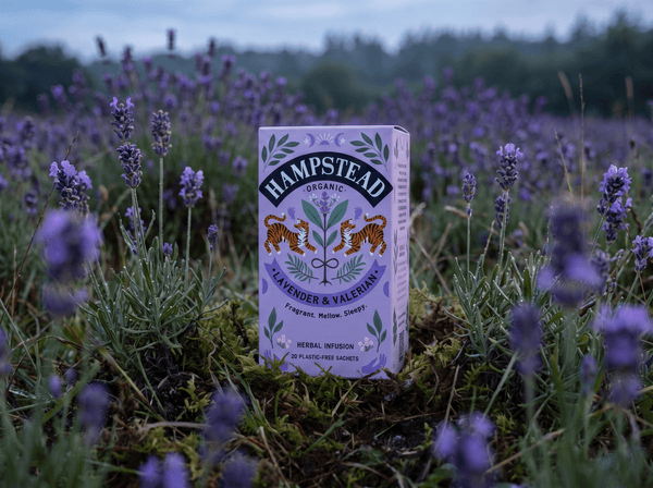 Lavender & Valerian Tea Bags - Hampstead Tea