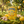 Load image into Gallery viewer, Lemon &amp; Ginger Tea Bags - Hampstead Tea
