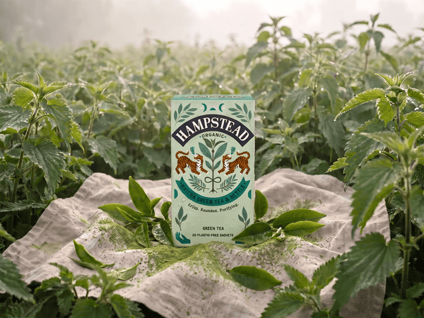 Matcha Green Tea and Nettle Tea Bags - Hampstead Tea