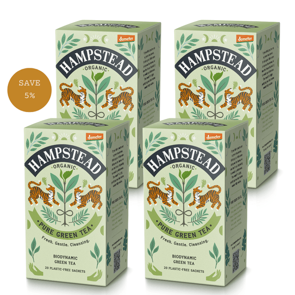 Organic and Biodynamic Green Tea Bags - Hampstead Tea