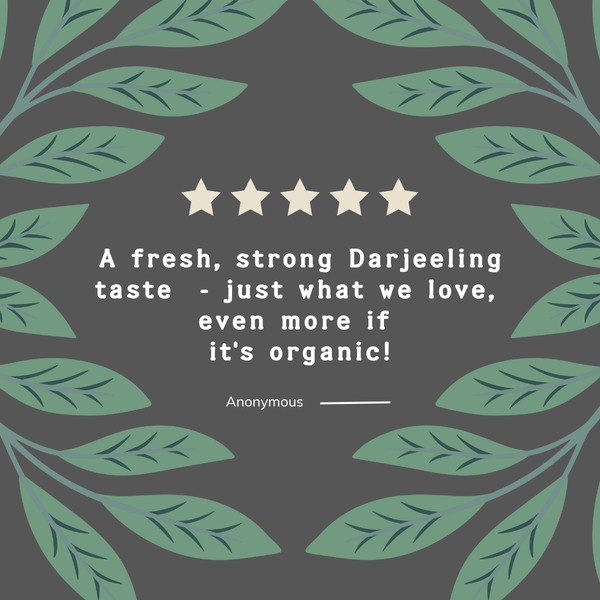 Organic & Biodynamic Darjeeling Tea Bags - Hampstead Tea