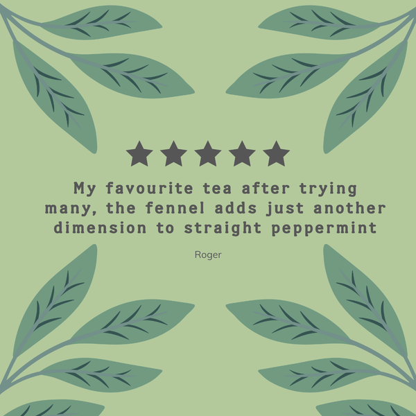 Organic & Biodynamic Digest Well Tea Bags - Hampstead Tea