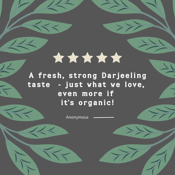 Organic Darjeeling Loose Leaf Tea 1 KG Pack - Hampstead Tea