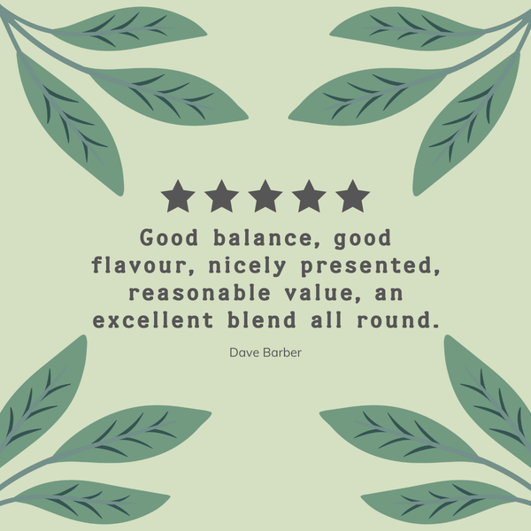 Organic Green Loose Leaf Tea 1 KG Pack - Hampstead Tea