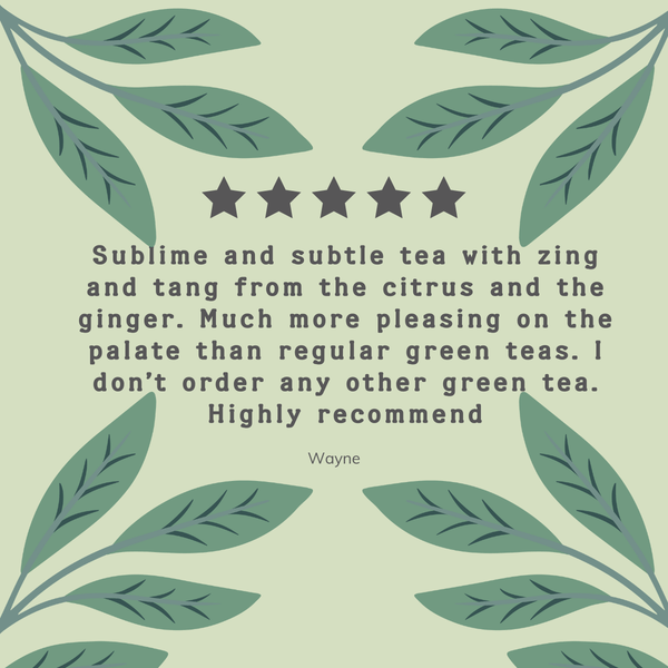 Organic Green Tea & Ginger Tea Bags - Hampstead Tea