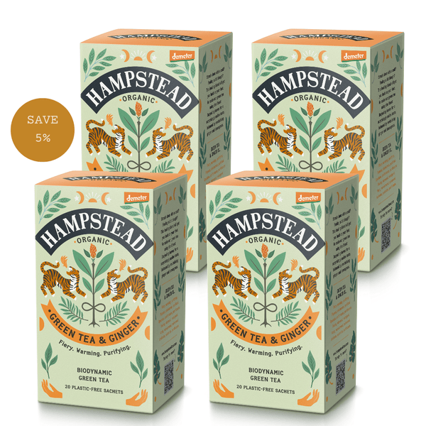 Organic Green Tea & Ginger Tea Bags - Hampstead Tea