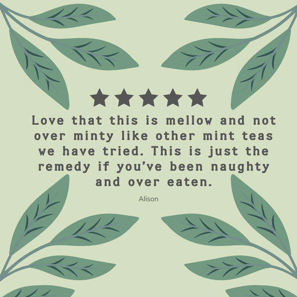 Organic Green Tea with Mint Tea Bags - Hampstead Tea
