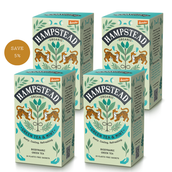 Organic Green Tea with Mint Tea Bags - Hampstead Tea