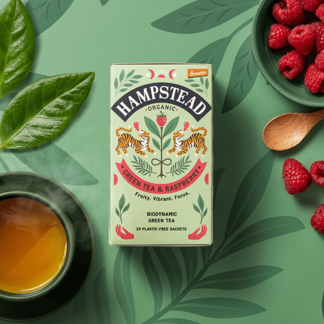 Organic Green Tea with Raspberry Tea Bags | Hampstead Tea