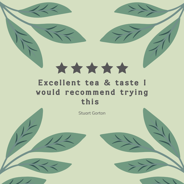Organic Green Tea with Raspberry Tea Bags - Hampstead Tea