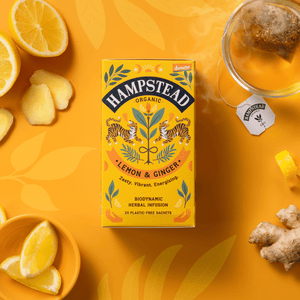Organic Lemon & Ginger Tea Bags - Hampstead Tea