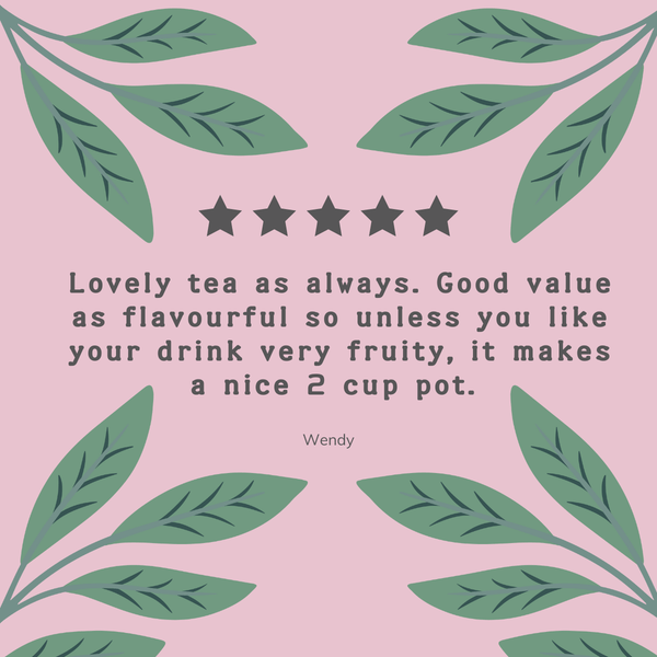 Organic Rosehip & Hibiscus Tea Bags - Hampstead Tea