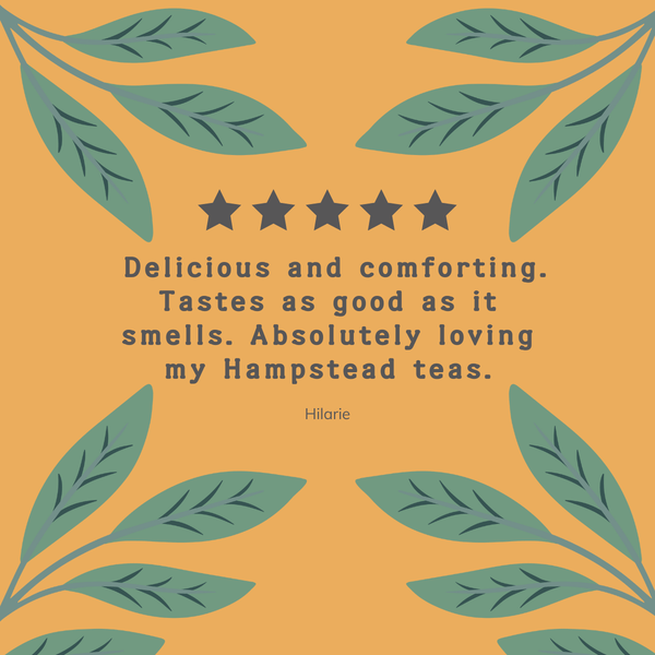 Organic Turmeric and Cinnamon Tea - Hampstead Tea - organic & plastic free - tea for immunity