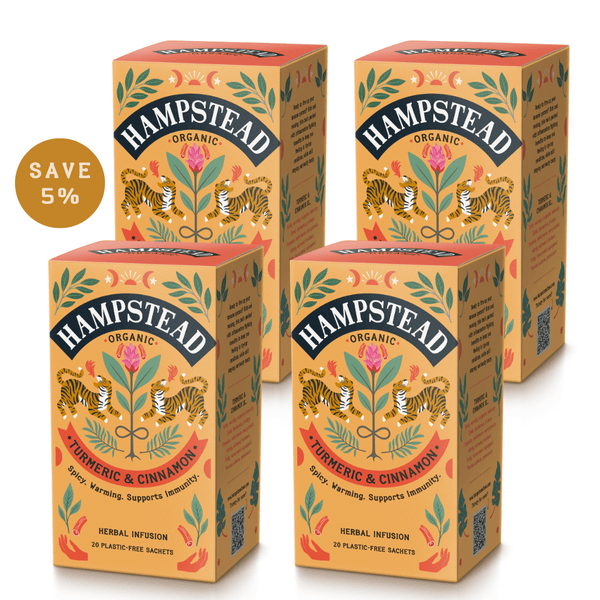 Organic Turmeric and Cinnamon Tea - Hampstead Tea - organic & plastic free - tea for immunity