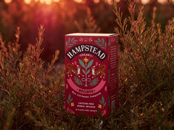 Rooibos Tea Bags - Hampstead Tea